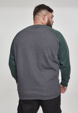 To-farvet raglan sweatshirt 42