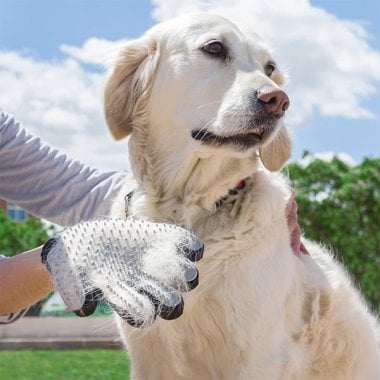 børste og massagehandske til kæledyr