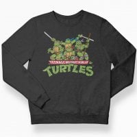 Teeange Mutant Ninja Turtles Distressed Group børn sweatshirt 1