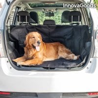 Bilsikring for dyr dog