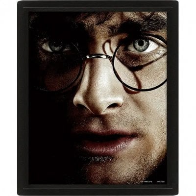 Harry Potter vs Voldemort - 3D poster med ramme
